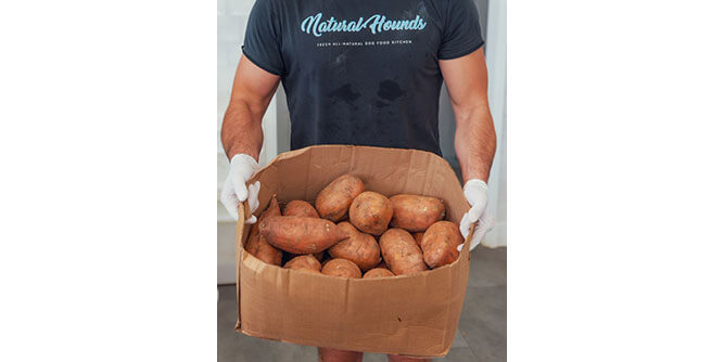 Natural Hounds Slider-10