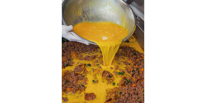 Natural Hounds Slider-10