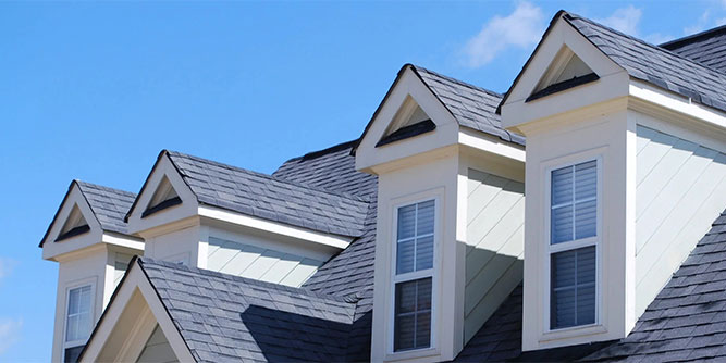 Bumble Roofing Slider-9