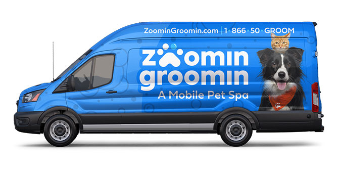 Zoomin Groomin Slider-4