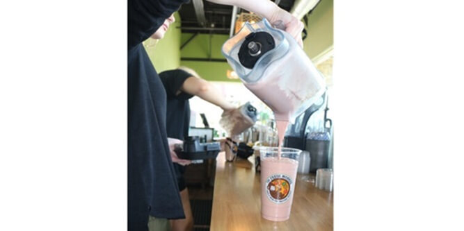 The Fresh Monkee Slider-4