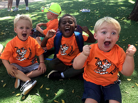 Tumbling Tigerz Tumbling Tigerz Slider 2