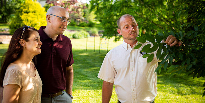 Joshua Tree Experts Slider-3