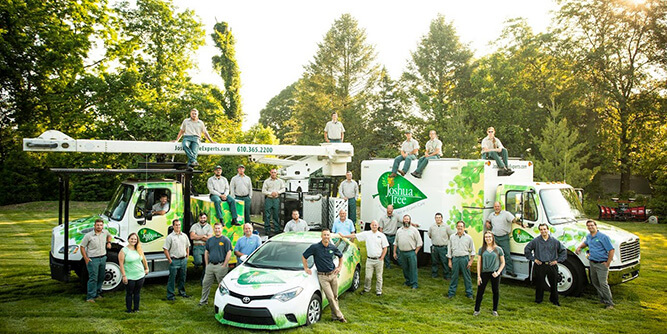 Joshua Tree Experts Slider-6