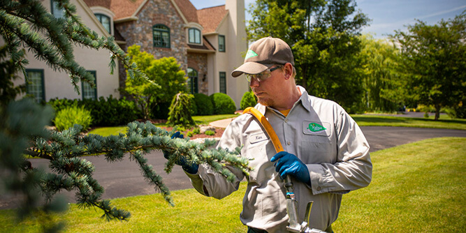 Joshua Tree Experts Slider-7
