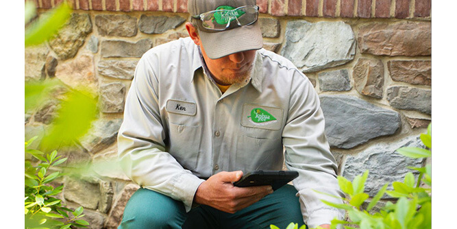 Joshua Tree Experts Slider-7