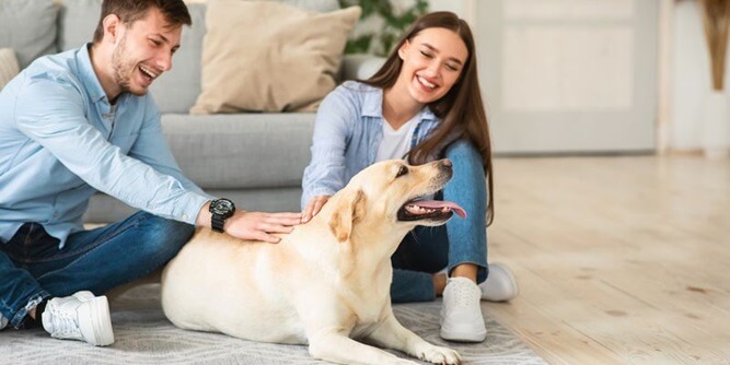 Resting Rainbow Slider-5