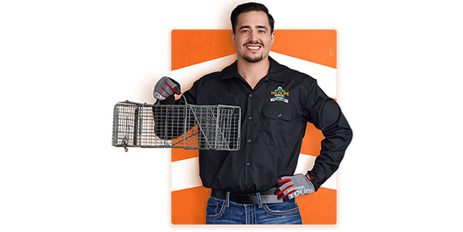 AAAC Wildlife Removal Slider-2