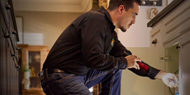 AAAC Wildlife Removal Slider-4