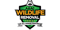 AAAC Wildlife Removal