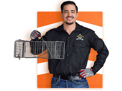 AAAC Wildlife Removal AAAC Wildlife Removal Slider 1