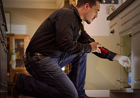 AAAC Wildlife Removal AAAC Wildlife Removal Slider 3