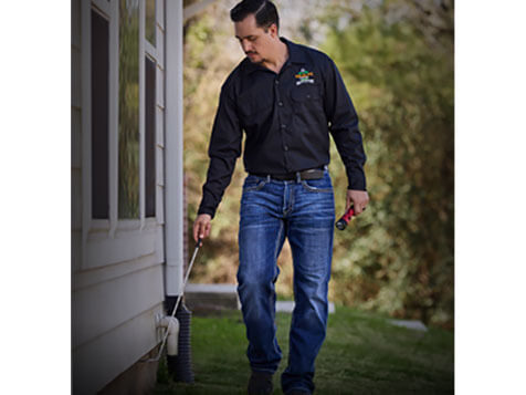 AAAC Wildlife Removal AAAC Wildlife Removal Slider 4