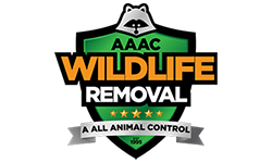 AAAC Wildlife Removal