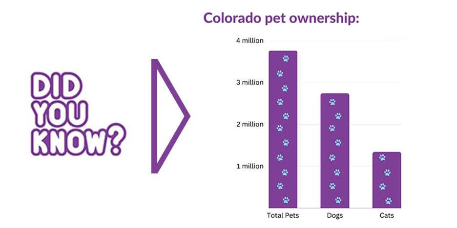 bath. cut. brush. Slider-4