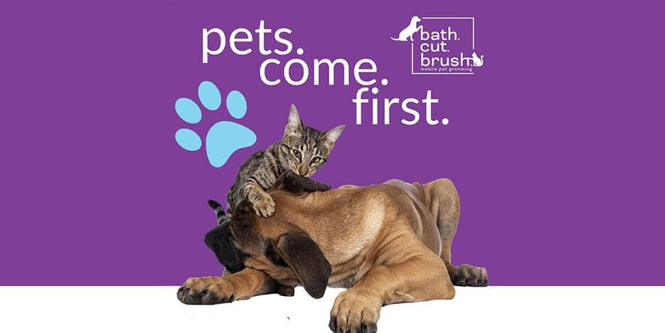 bath. cut. brush. Slider-5