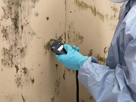 Mr. MOLD Mr. MOLD Slider 5