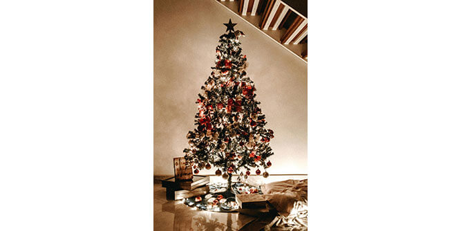 As You Wish Slider-4