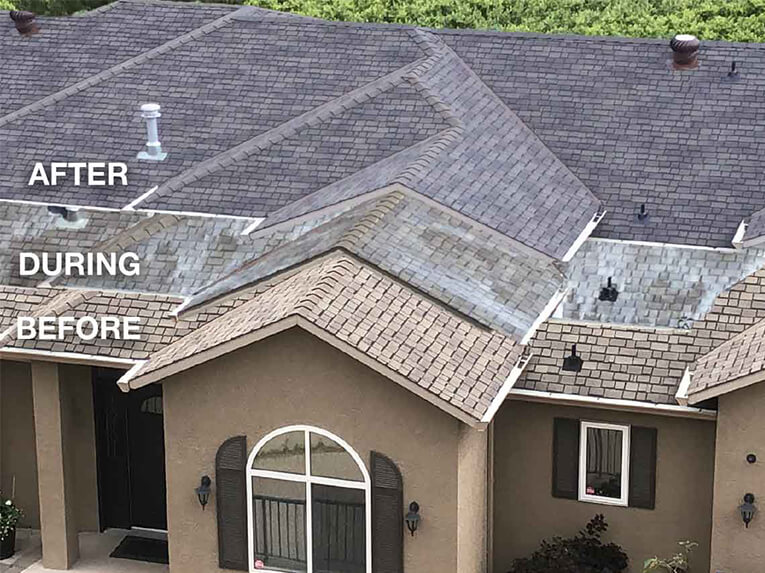 Renueit Renueit Slider 2