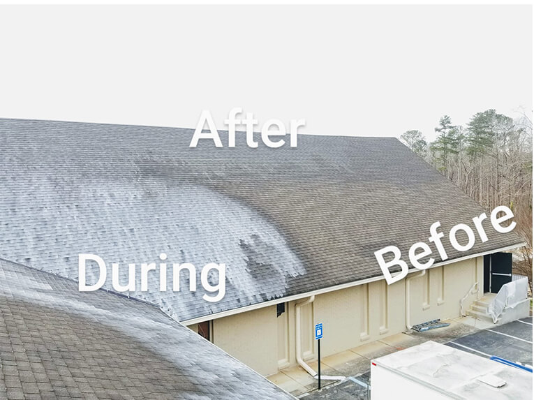 Renueit Renueit Slider 6