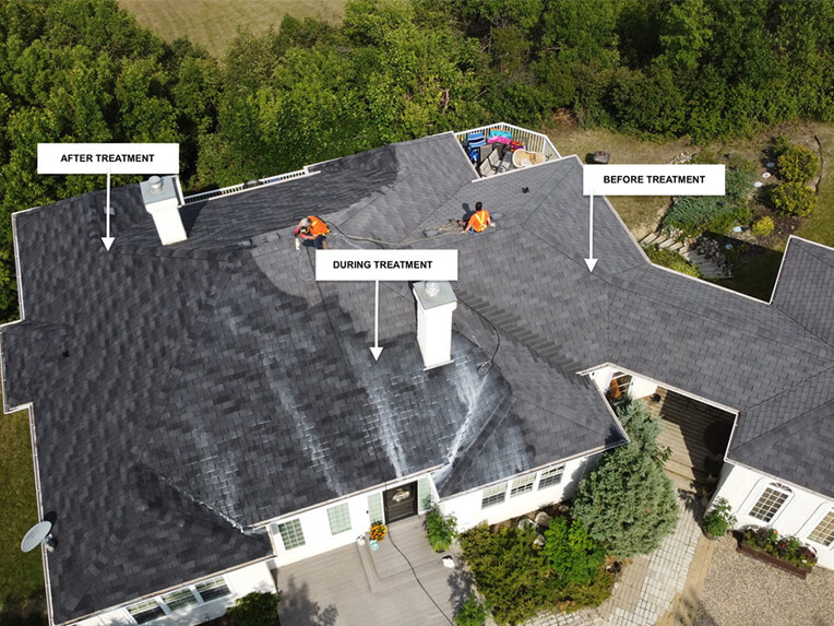 Renueit Renueit Slider 5