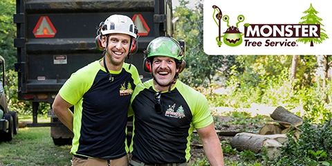 Monster Tree Service
