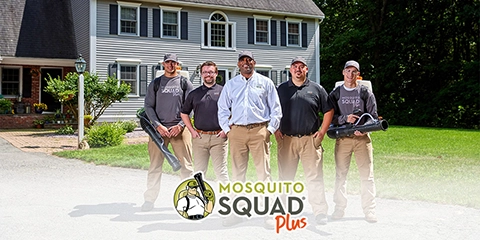 Mosquito Squad Plus
