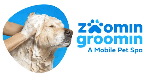Zoomin Groomin