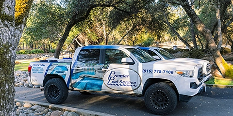 Premier Pool Service