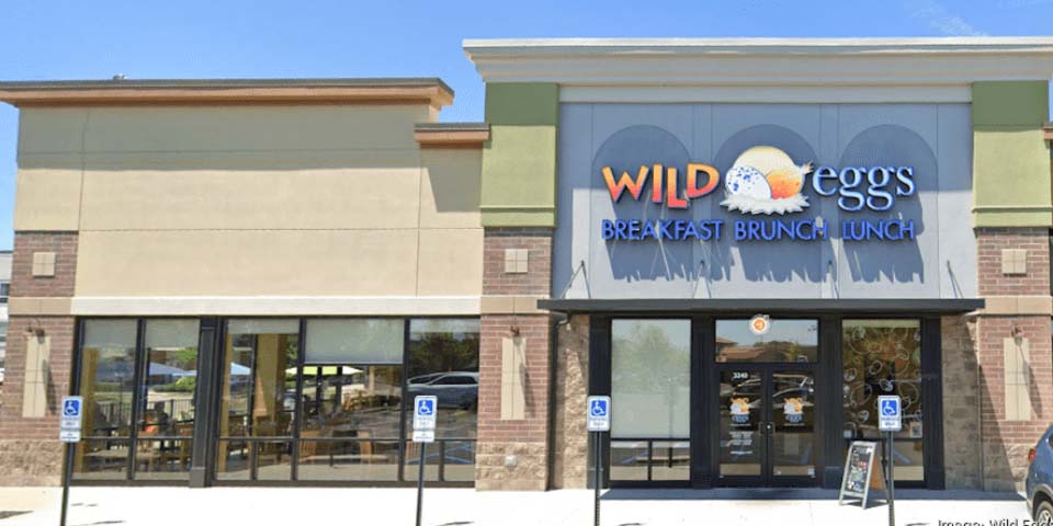 Wild Eggs width=