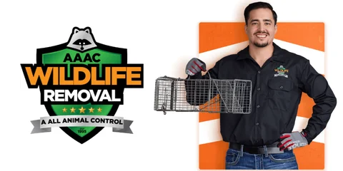 AAAC Wildlife Removal
