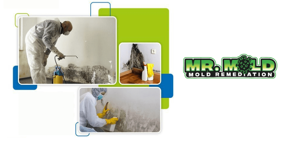Mr. MOLD