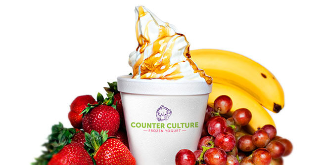 Counter Culture Frozen Yogurt Slider-2