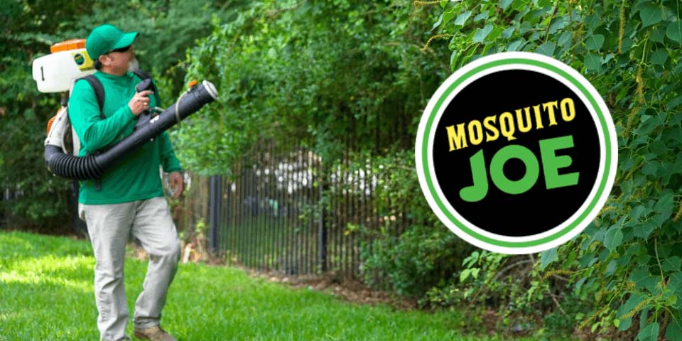 Mosquito Joe width=