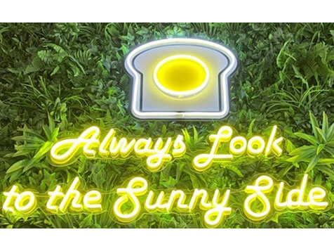 EggBred EggBred Slider 5