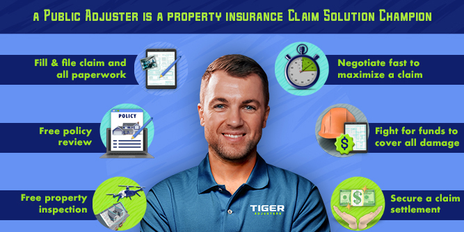 Tiger Adjusters Slider-2