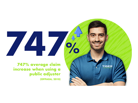 Tiger Adjusters Tiger Adjusters Slider 7