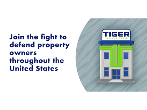 Tiger Adjusters Tiger Adjusters Slider 8