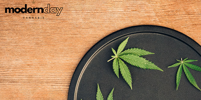 Modern Day Cannabis Slider-2