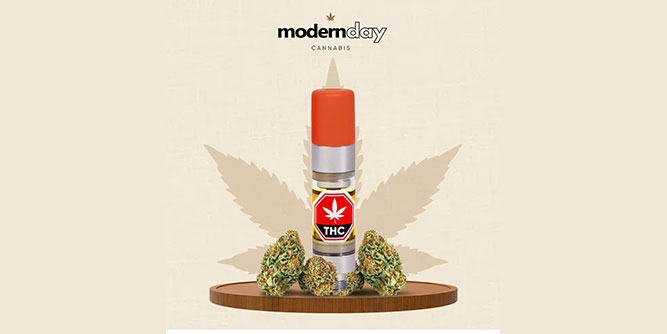 Modern Day Cannabis Slider-3