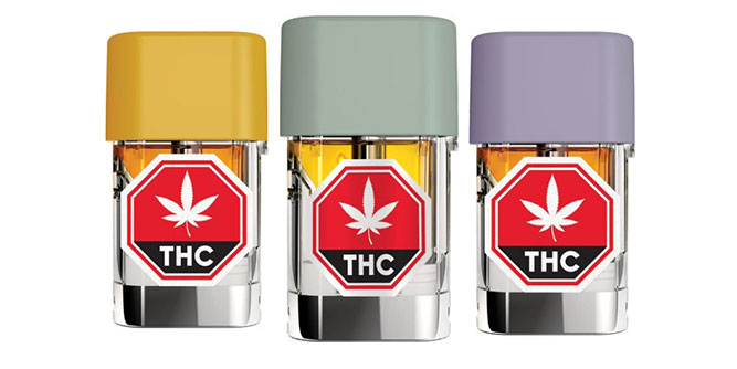 Modern Day Cannabis Slider-4