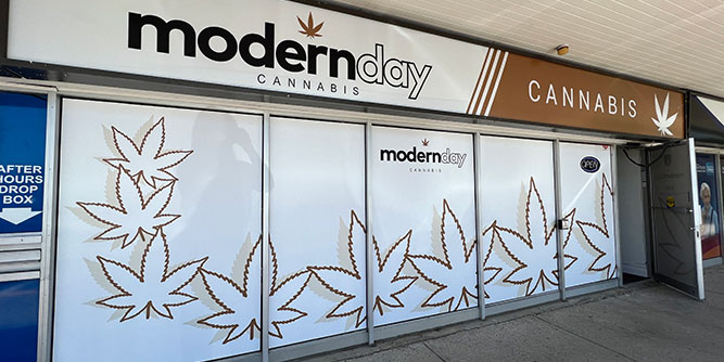 Modern Day Cannabis Slider-1