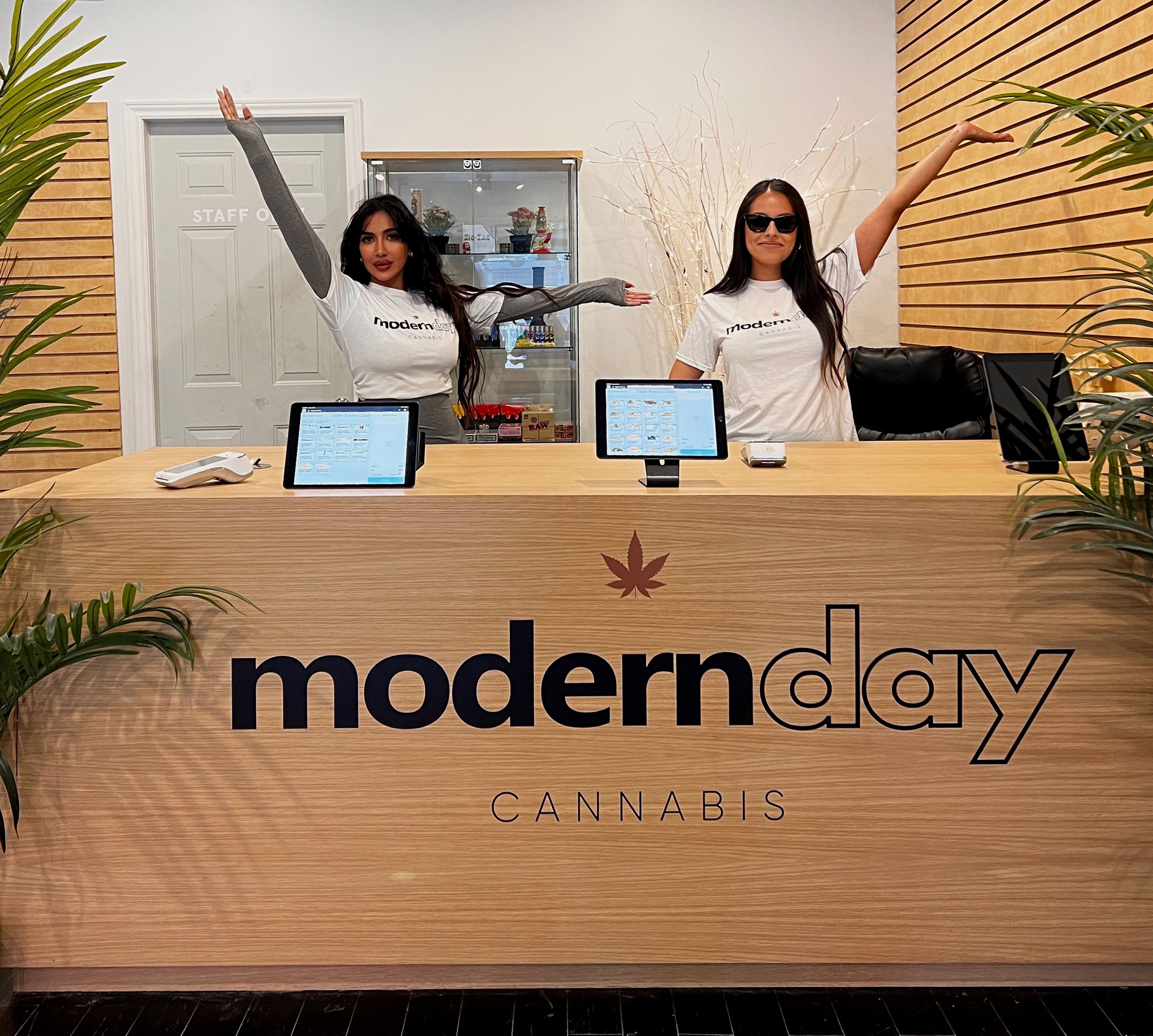 Modern Day Cannabis Slider-5