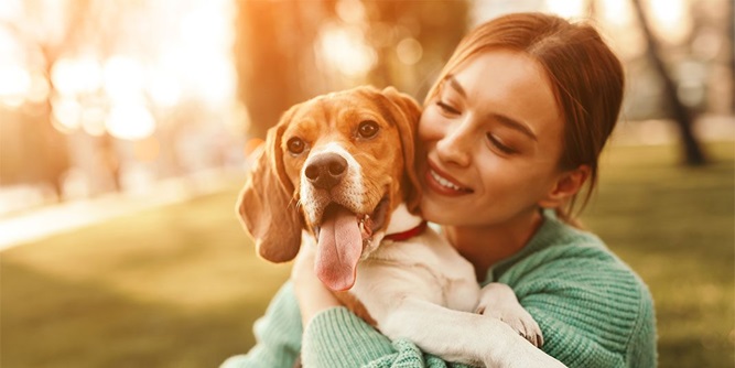 Pet Passages Slider-2