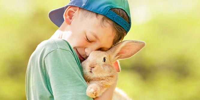 Pet Passages Slider-5