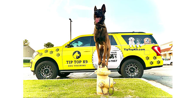 Tip Top K9 Dog Training Slider-2