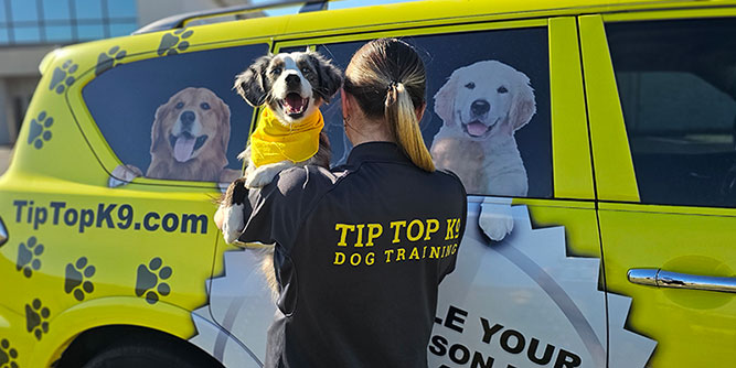 Tip Top K9 Dog Training Slider-3