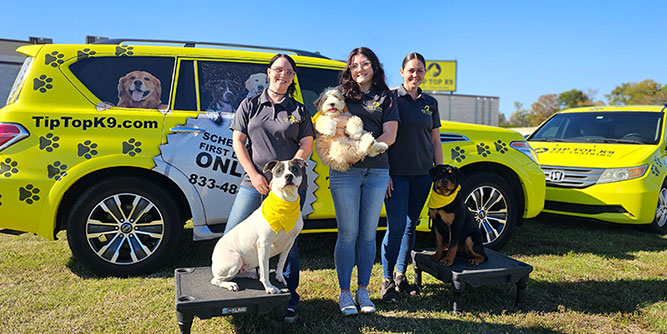 Tip Top K9 Dog Training Slider-4