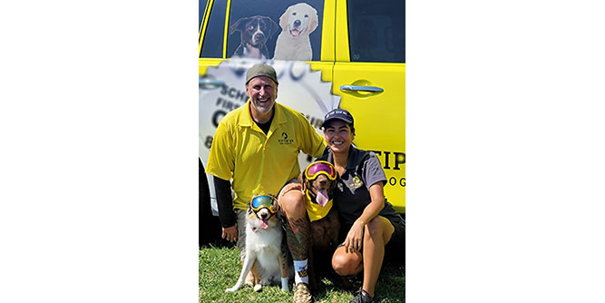 Tip Top K9 Dog Training Slider-6