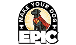  Franchise Opportunity